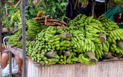 Economía y Emprendimiento