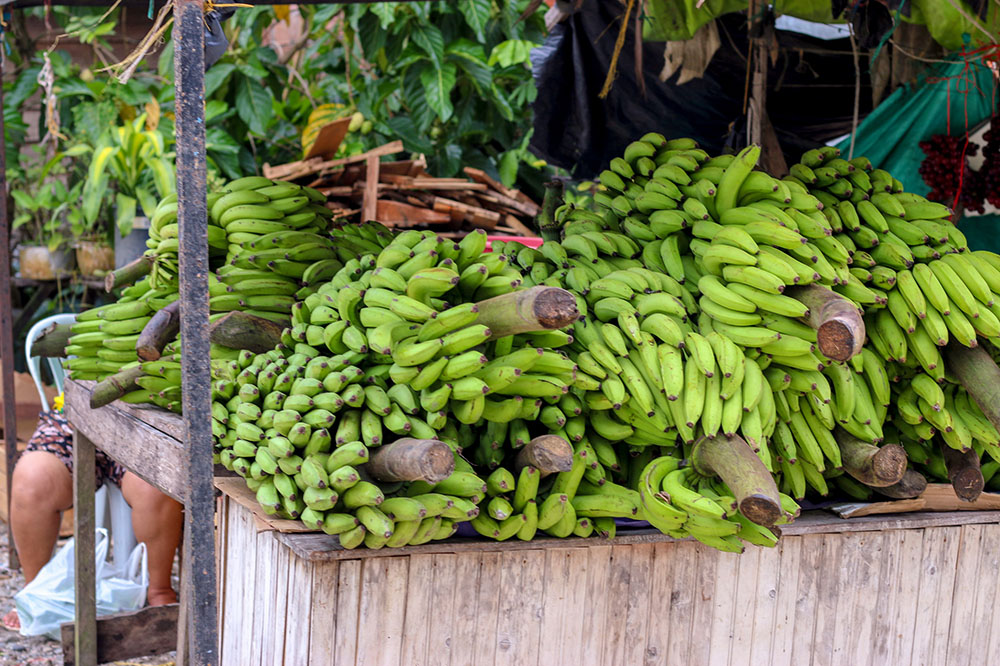 Economía y Emprendimiento